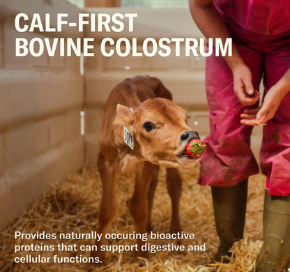 Farmer Protein Powder