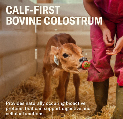 Farmer Protein Powder